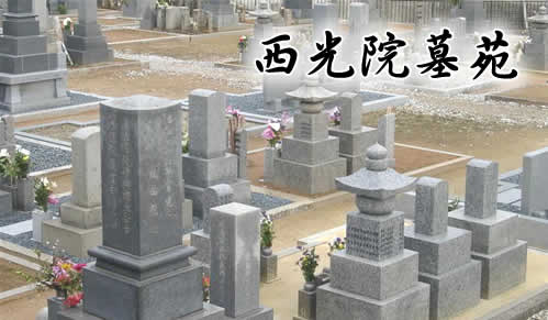 @扑